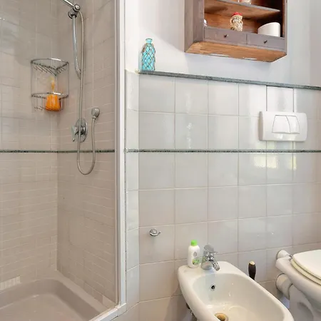 Apartment Pet Friendly In With Kitchen